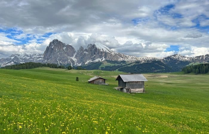 Prados verdes de Alpe di Siusi con el Sassolungo al fondo