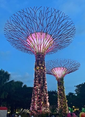 Gardens by the Bay iluminado de noche